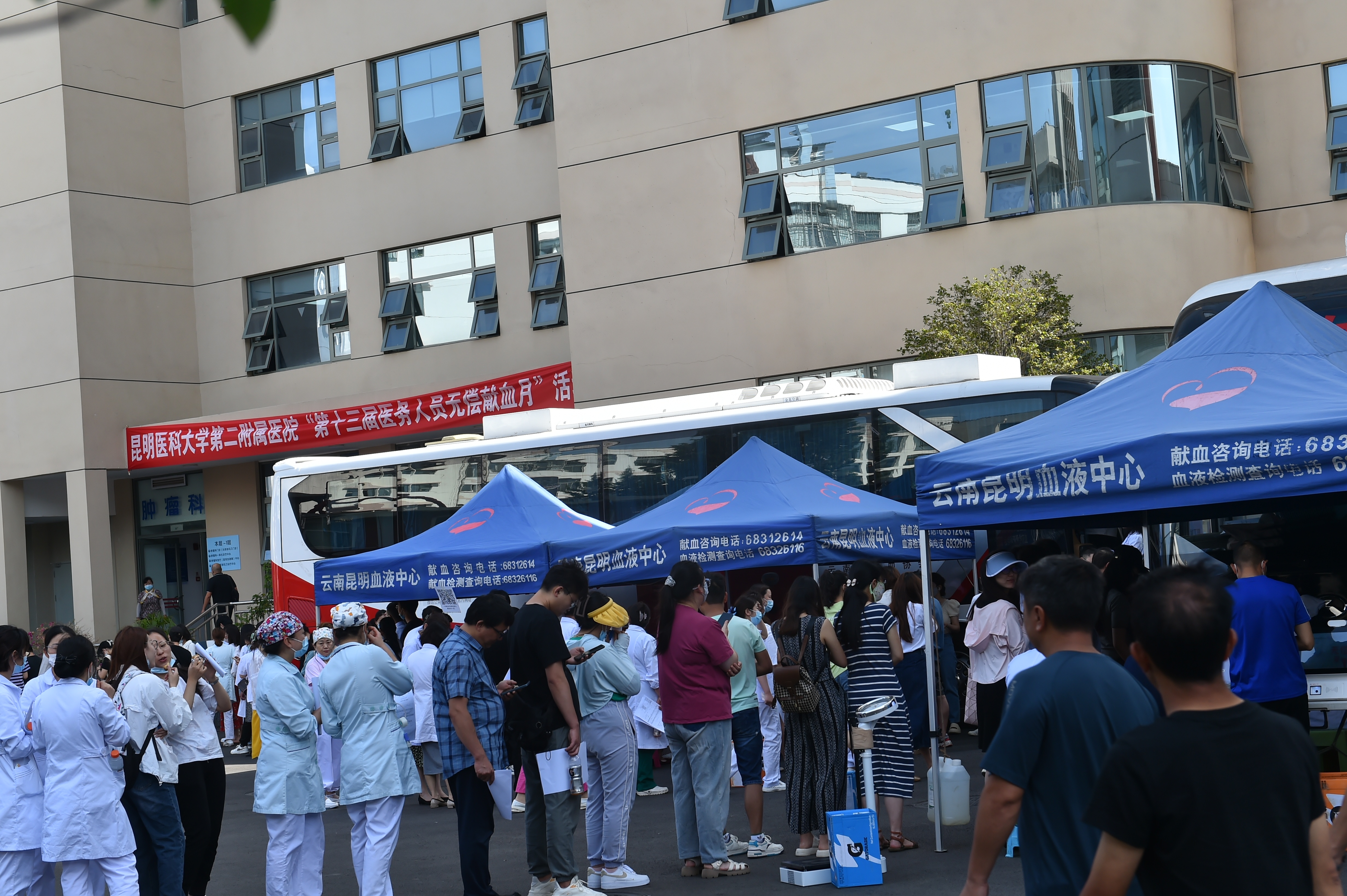 16859309653938.jpg 16859309653938.jpg