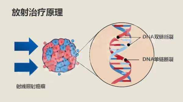 16880026117981.png 16880026117981.png