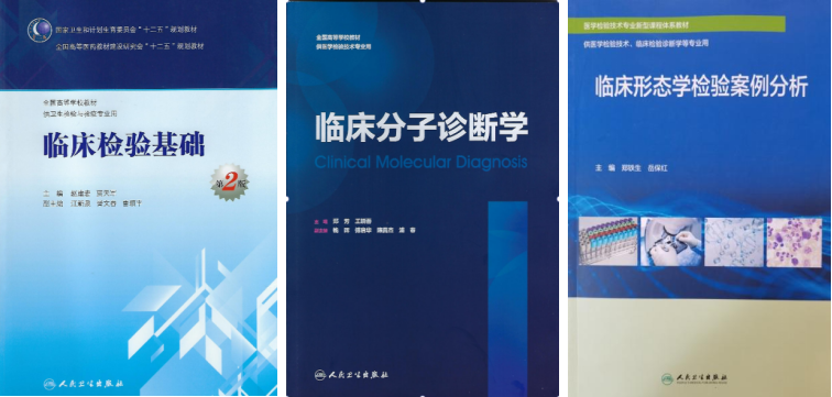 17286983878762.png 17286983878762.png