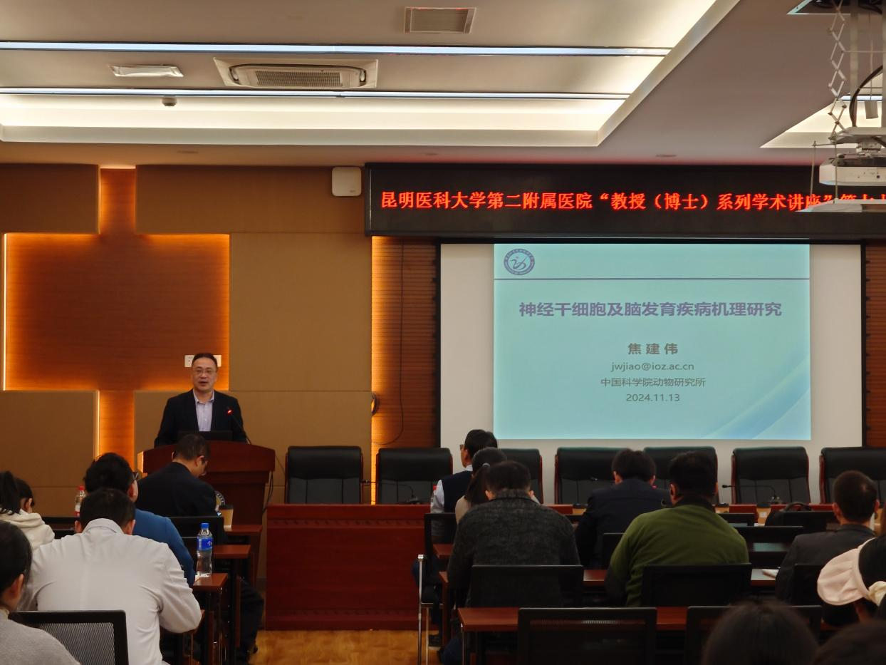 17318962911383.png 17318962911383.png