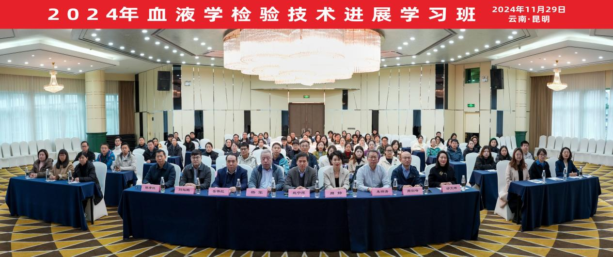 17333676665050.png 17333676665050.png