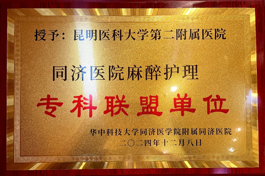 17343161899006.png 17343161899006.png